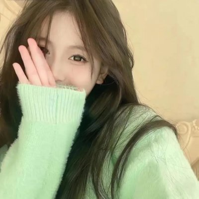 新夏威夷神探第四季